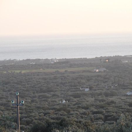 Bed And Breakfast La Casetta 모노폴리 외부 사진