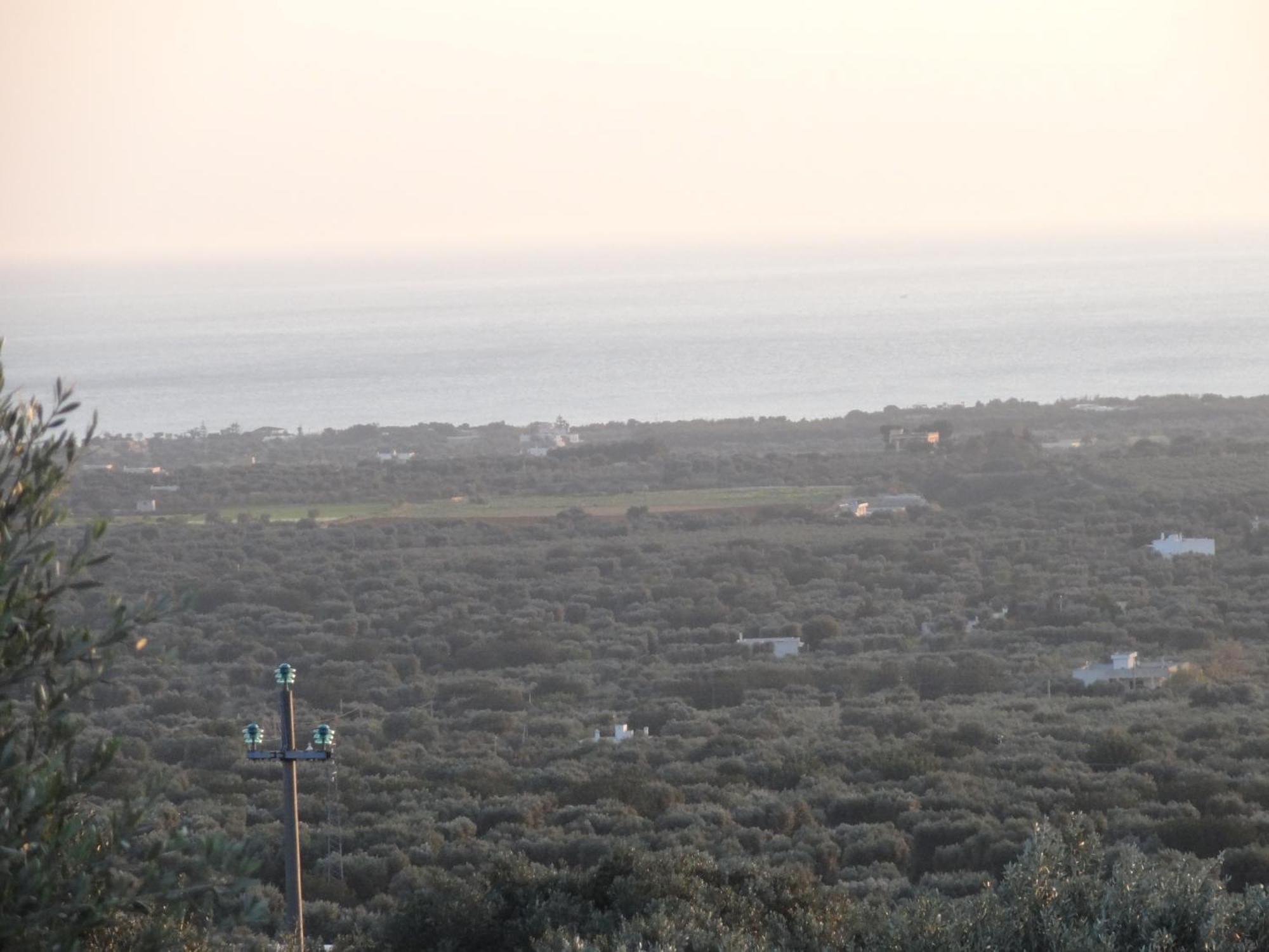 Bed And Breakfast La Casetta 모노폴리 외부 사진