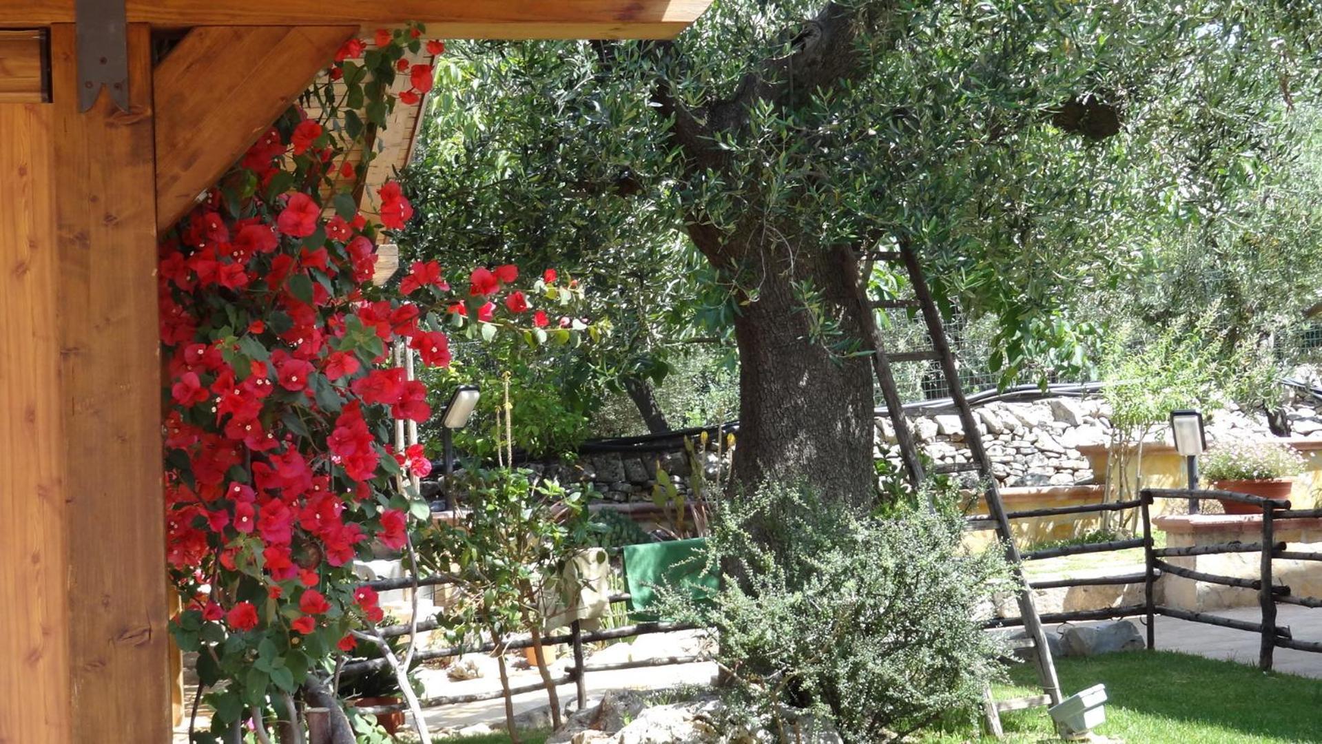 Bed And Breakfast La Casetta 모노폴리 외부 사진