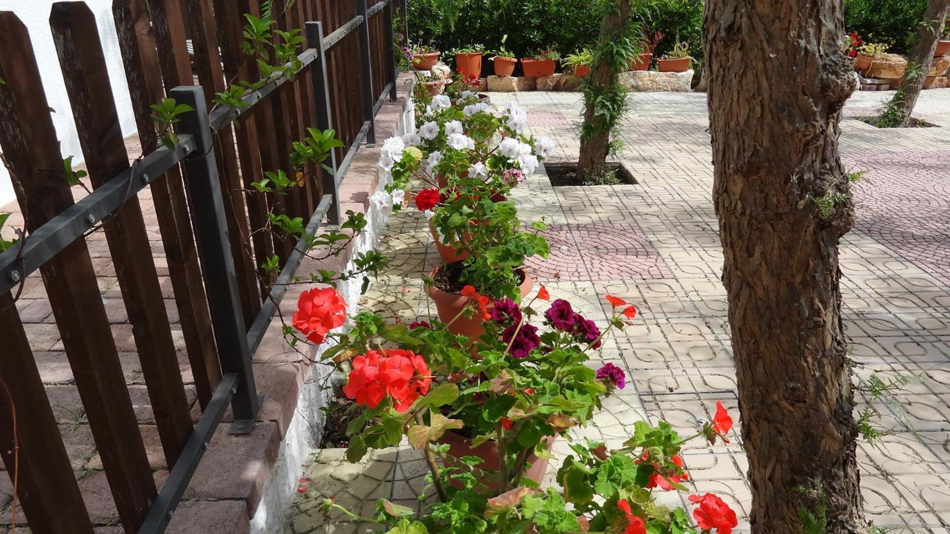 Bed And Breakfast La Casetta 모노폴리 외부 사진