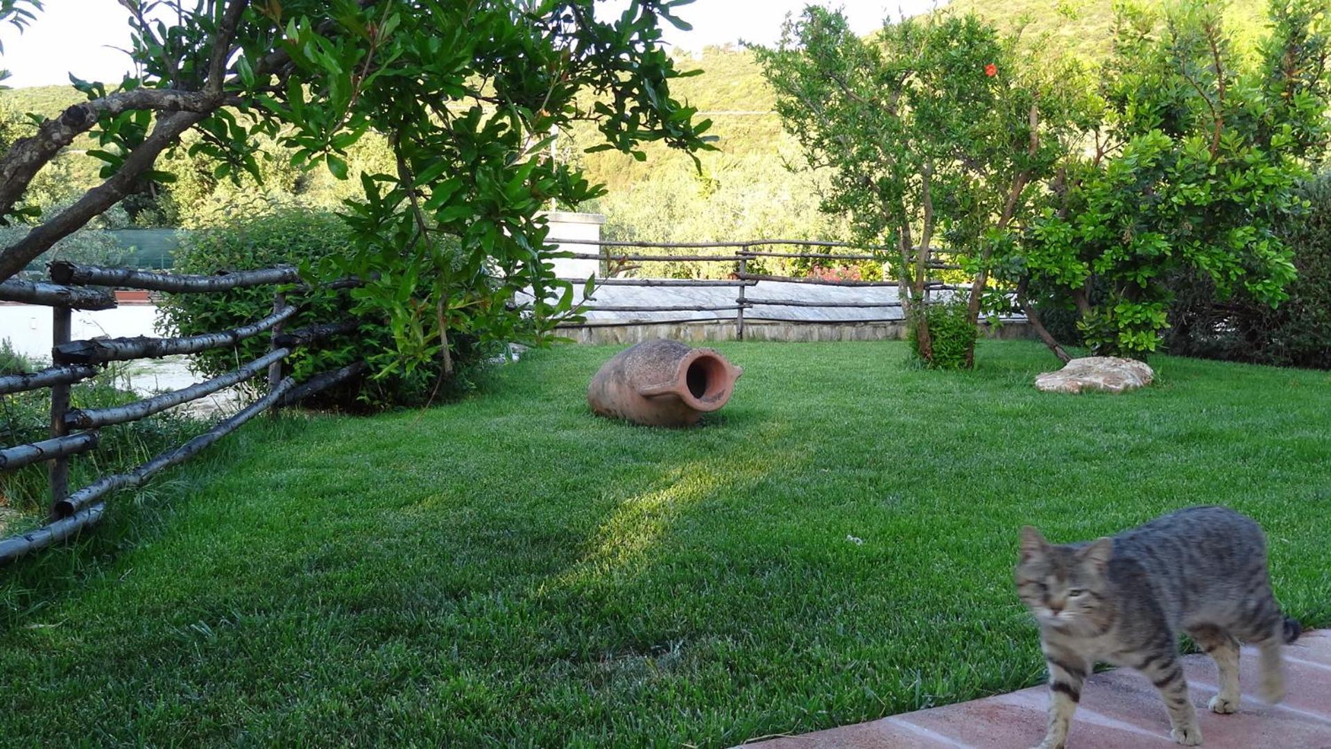 Bed And Breakfast La Casetta 모노폴리 외부 사진